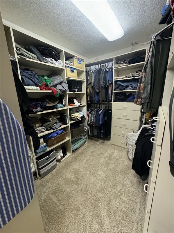 walk in closet with light carpet