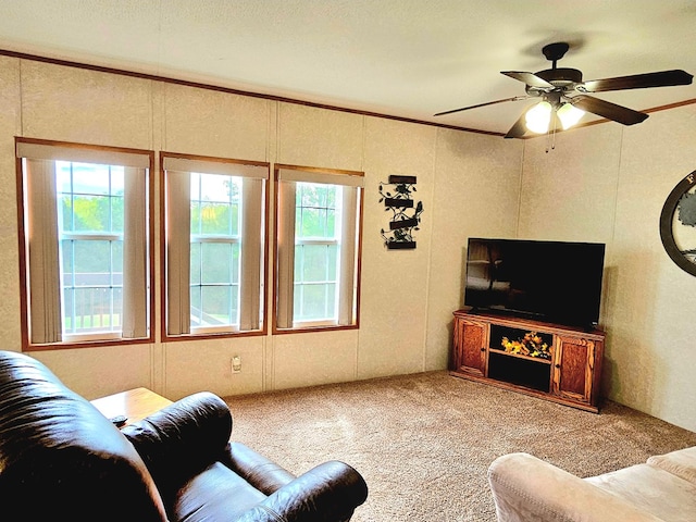 carpeted living room featuring ceiling fan and crown molding