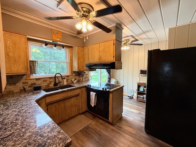 64234 Hwy 6, Green Castle, MO 63544 - kitchen featuring black appliances, a ceiling fan, dark countertops, decorative backsplash, and ornamental molding
