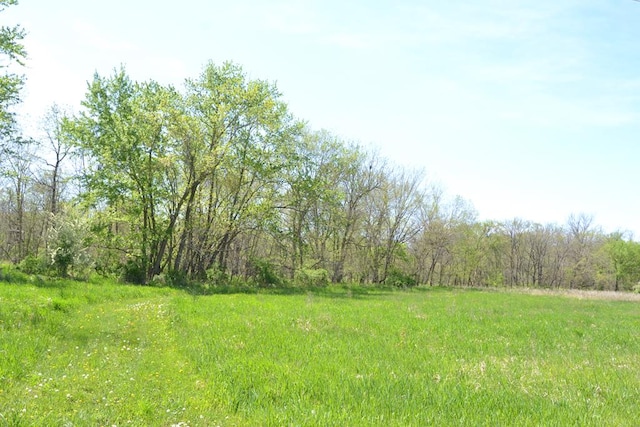 view of yard with a view of trees