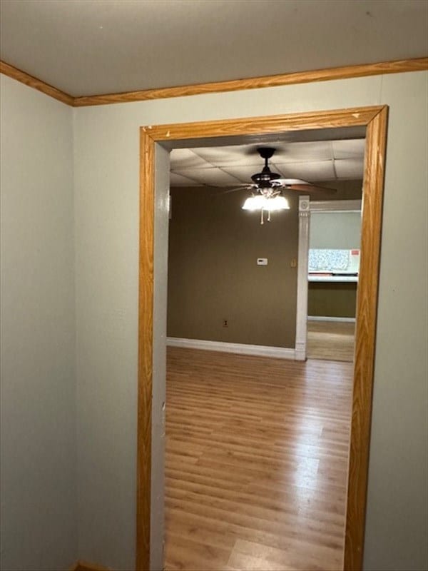 unfurnished room featuring ceiling fan, light wood-type flooring, and crown molding