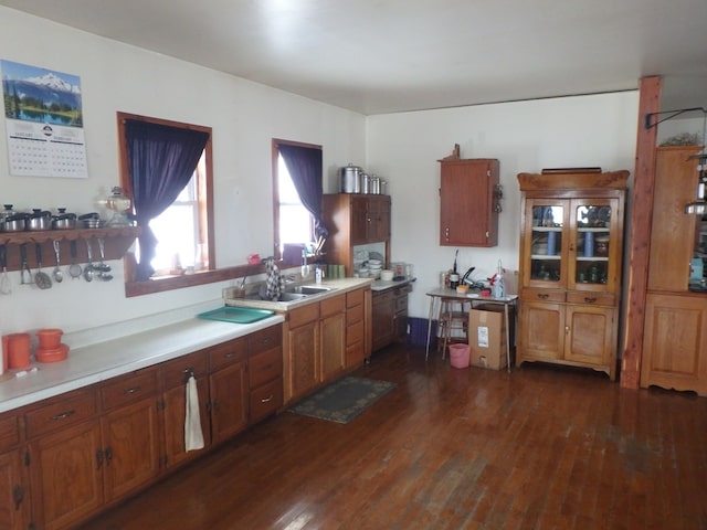 kitchen featuring sink and dark wood-type flooring