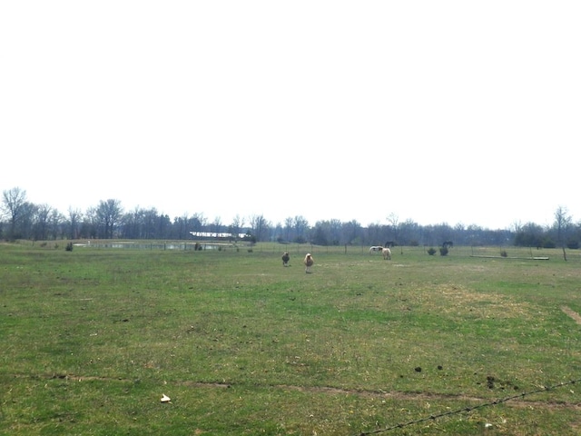 view of yard featuring a rural view