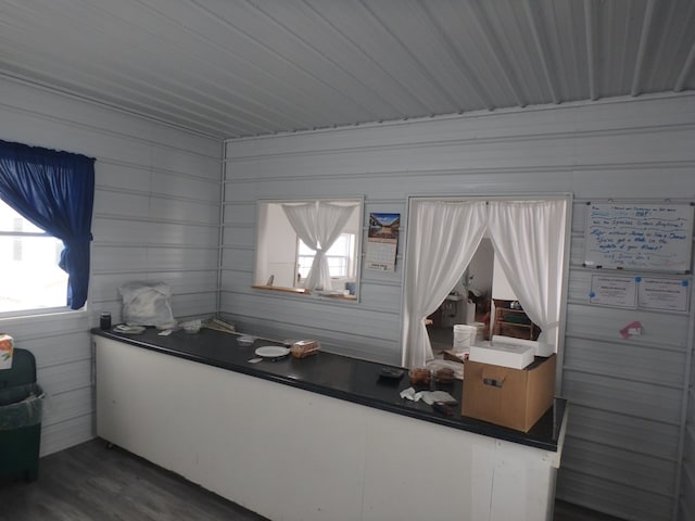 interior space featuring wooden walls and hardwood / wood-style flooring