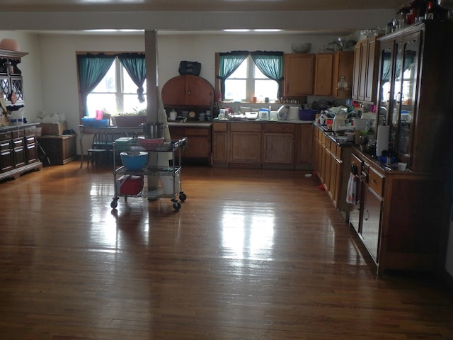 kitchen featuring wood-type flooring and a wealth of natural light