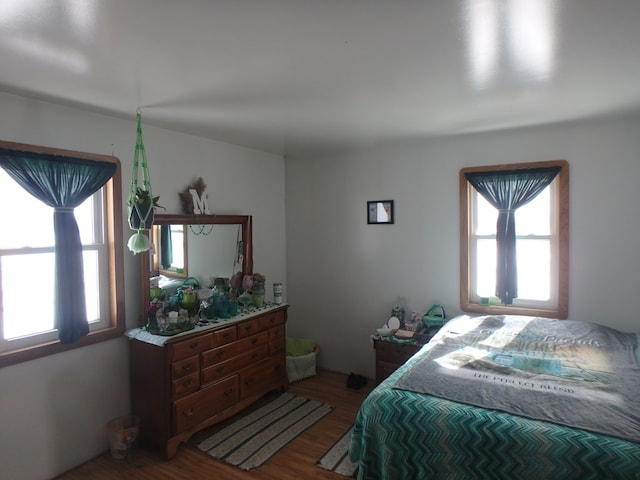 bedroom with wood-type flooring