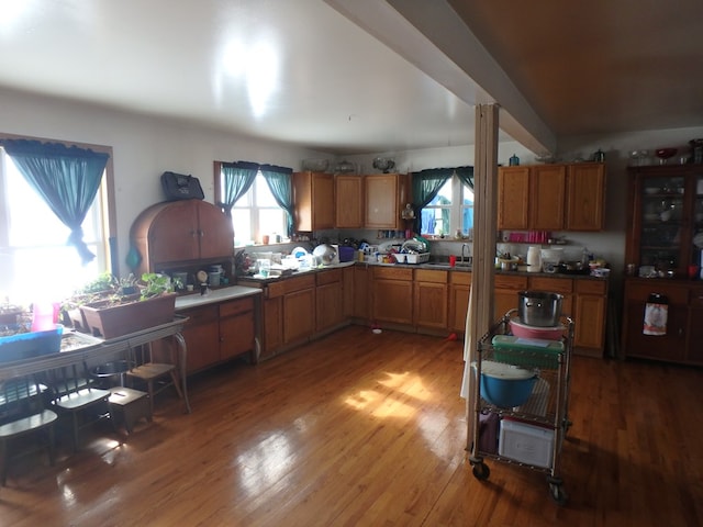 kitchen featuring dark hardwood / wood-style flooring and sink