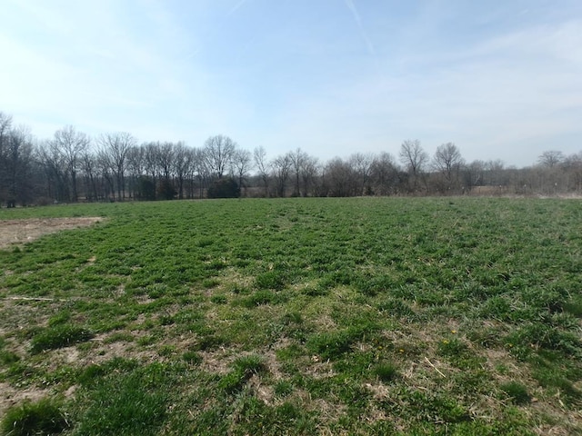 view of yard with a rural view