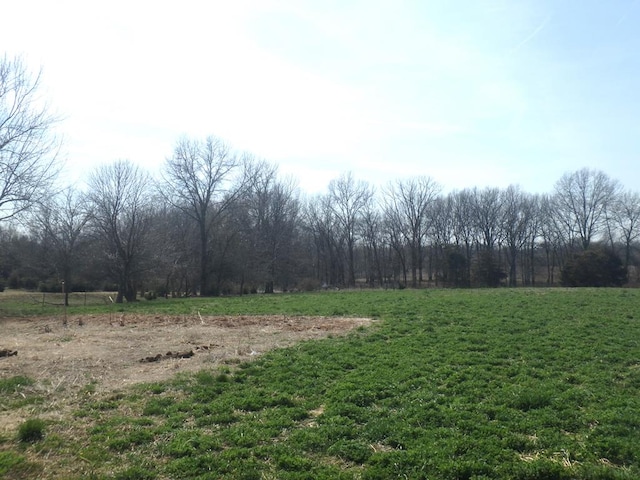 view of yard featuring a rural view