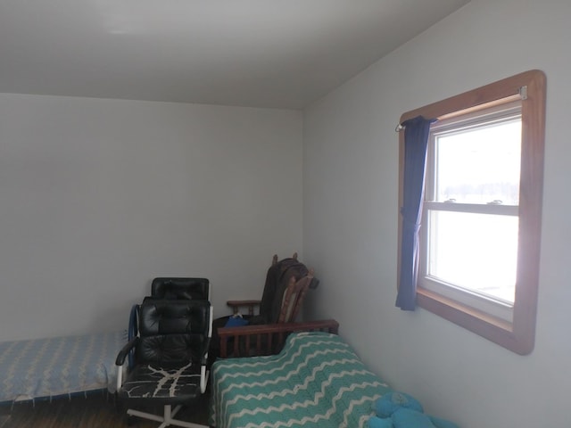 bedroom with wood-type flooring