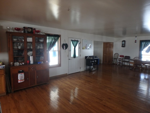 entrance foyer with dark hardwood / wood-style floors and plenty of natural light