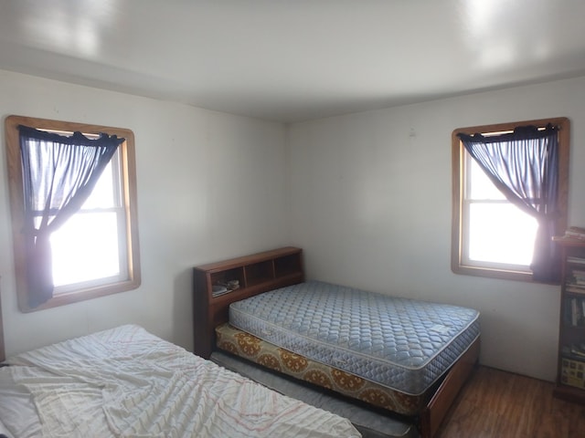 bedroom featuring dark hardwood / wood-style flooring and multiple windows