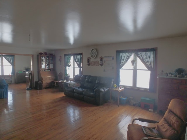 living room featuring hardwood / wood-style floors