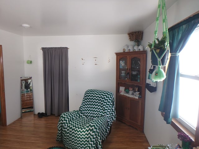 living area with dark hardwood / wood-style floors