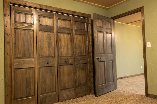 interior details featuring carpet flooring