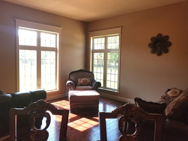 sitting room with plenty of natural light and hardwood / wood-style floors