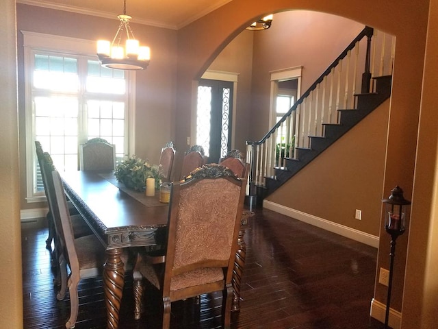 dining area with crown molding and dark hardwood / wood-style floors