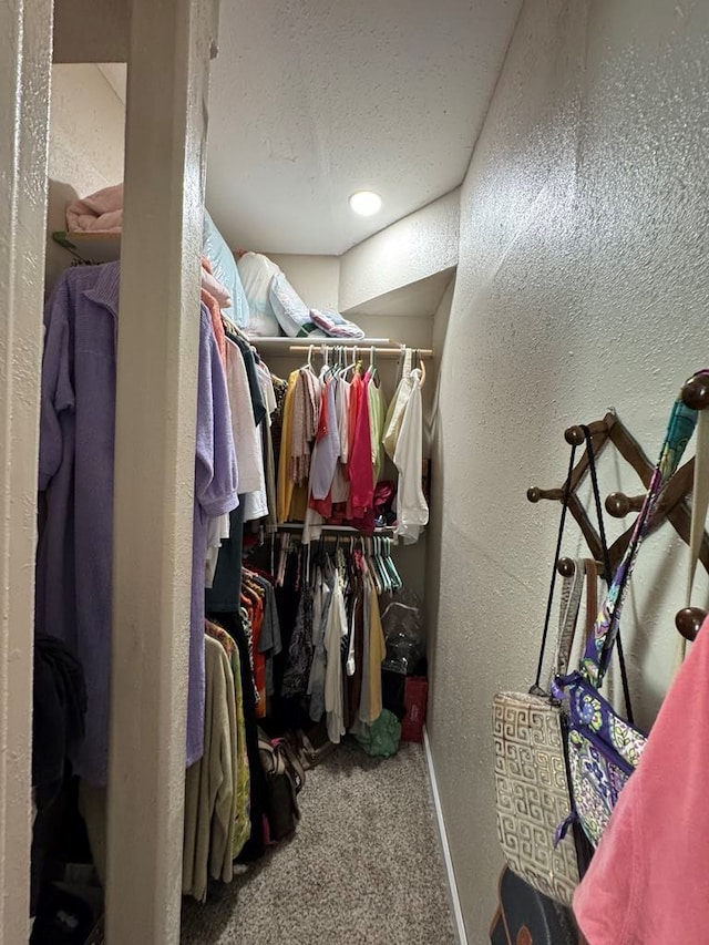 53895 E 3rd St, Milan, MO 63556 - spacious closet with carpet flooring