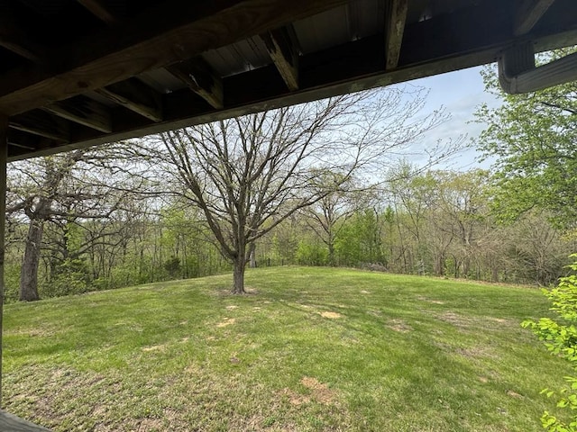53895 E 3rd St, Milan, MO 63556 - view of yard with a view of trees