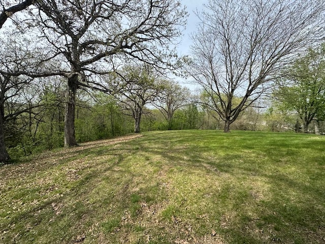 53895 E 3rd St, Milan, MO 63556 - view of yard with a forest view