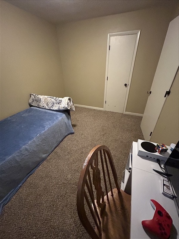 116 Adams St, Centralia, MO 65240 - bedroom with carpet flooring