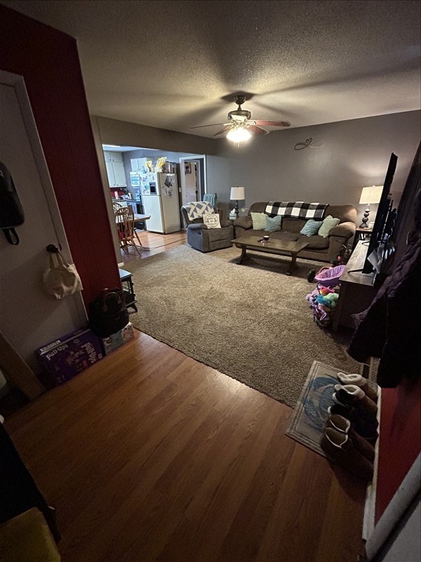 116 Adams St, Centralia, MO 65240 - living area with a ceiling fan, wood finished floors, and a textured ceiling