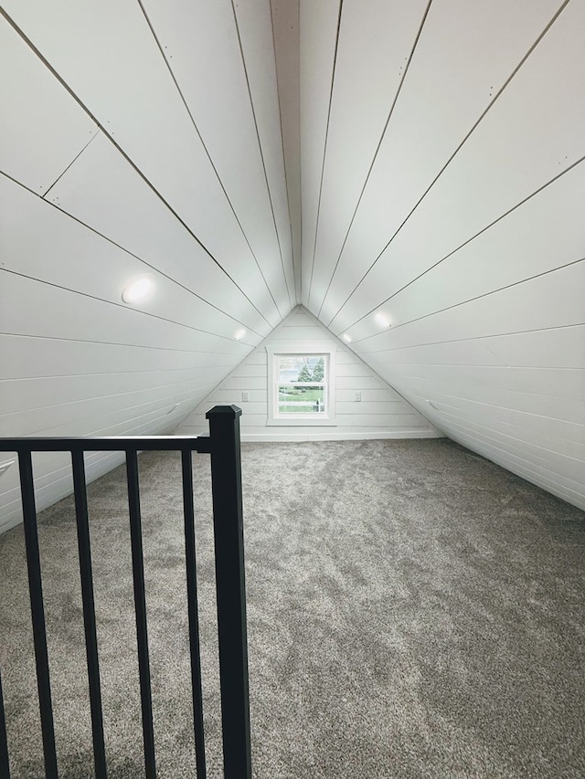 120 W Caldwell St, La Plata, MO 63549 - bonus room with carpet floors and lofted ceiling