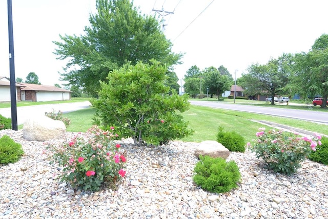 206 Woodwinds Ct, Kirksville, MO 63501 - view of yard