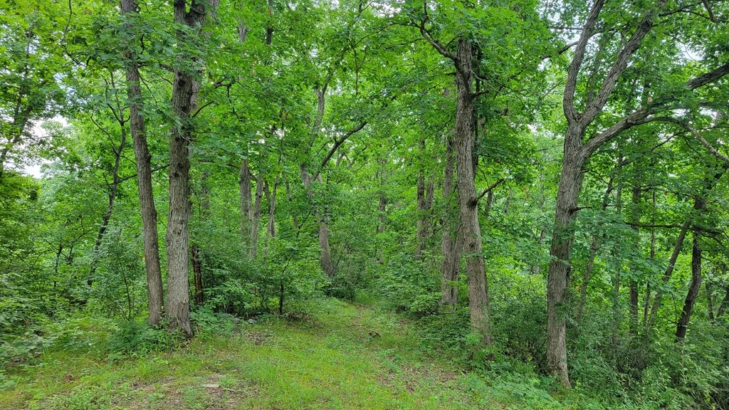 21572 Crest Trl, Kirksville, MO 63501 - photo 3