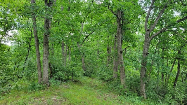 21572 Crest Trl, Kirksville, MO 63501 - photo 3