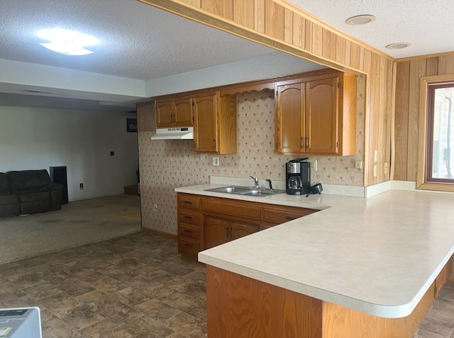 kitchen with a textured ceiling, kitchen peninsula, and sink