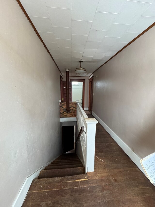 hallway with hardwood / wood-style flooring