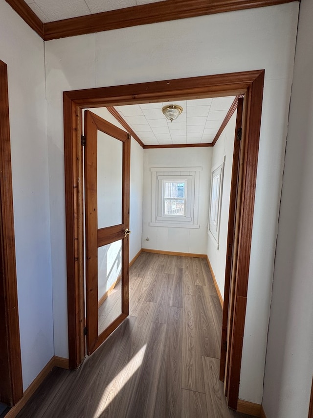 hallway featuring crown molding and hardwood / wood-style floors