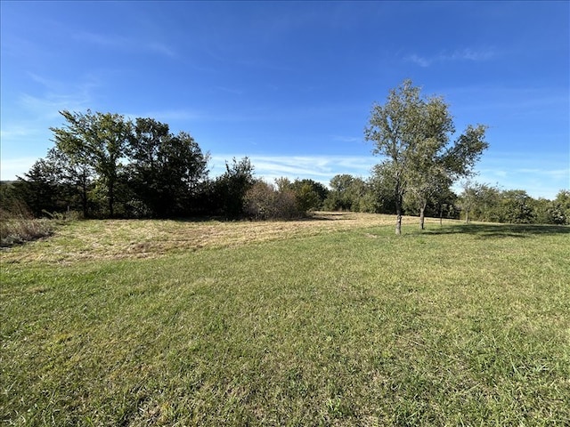 view of yard featuring a rural view