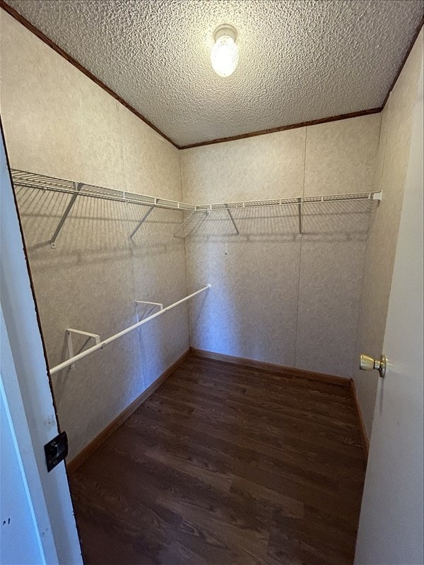 spacious closet featuring dark hardwood / wood-style floors