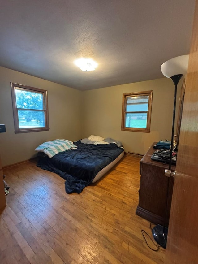 236 N Maple St, Milan, MO 63556 - bedroom with light wood-type flooring, multiple windows, and baseboard heating