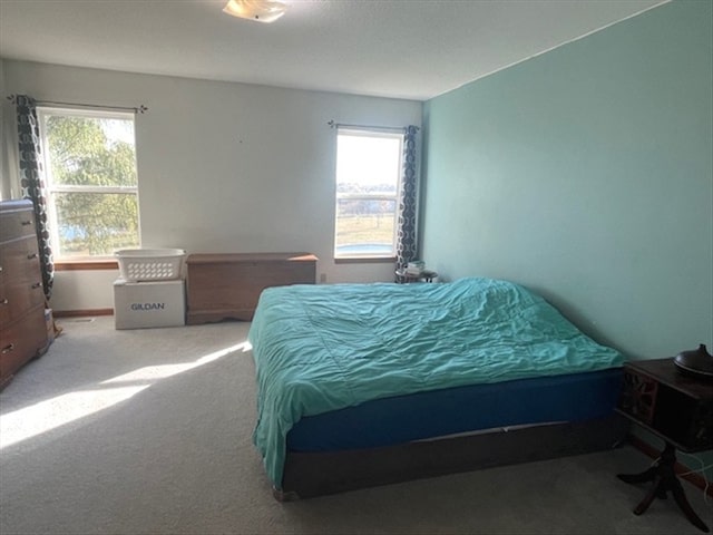 view of carpeted bedroom