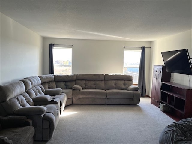 living room with carpet and plenty of natural light