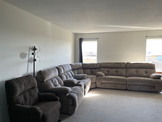 living room with carpet floors