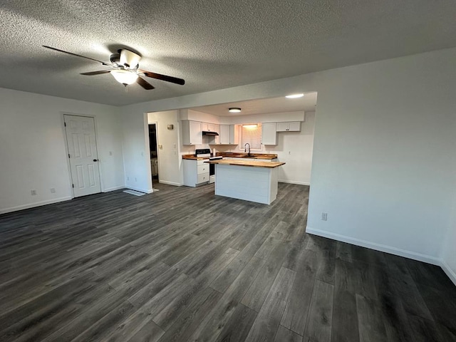 kitchen with ceiling fan, sink, electric stove, dark hardwood / wood-style floors, and white cabinetry