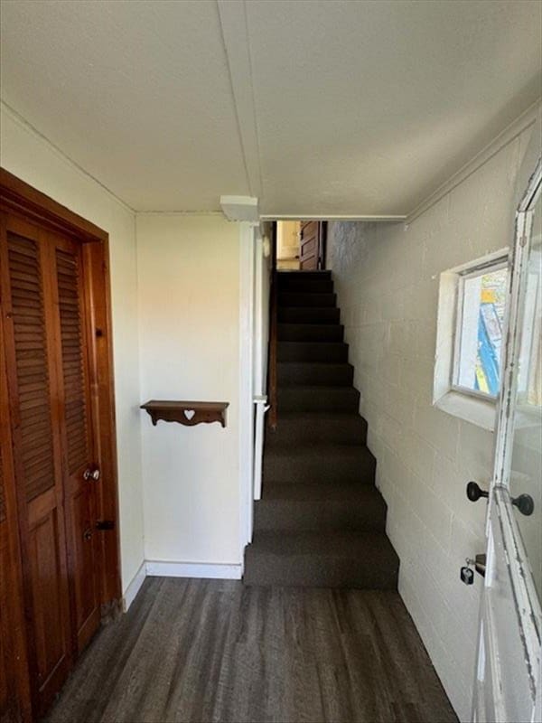 staircase with wood-type flooring