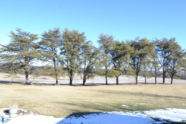 view of yard with a rural view