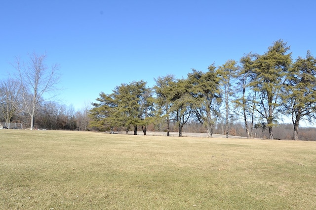 view of yard with a rural view