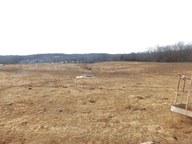 view of yard featuring a rural view