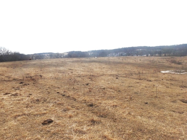 view of nature featuring a rural view