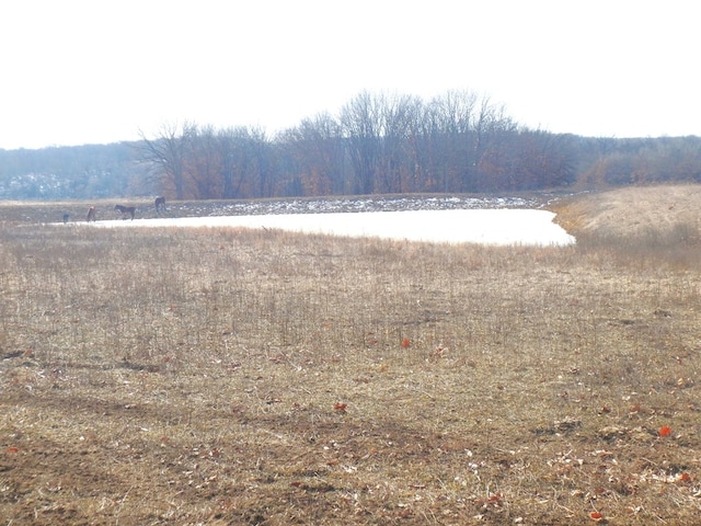 view of yard with a water view and a rural view