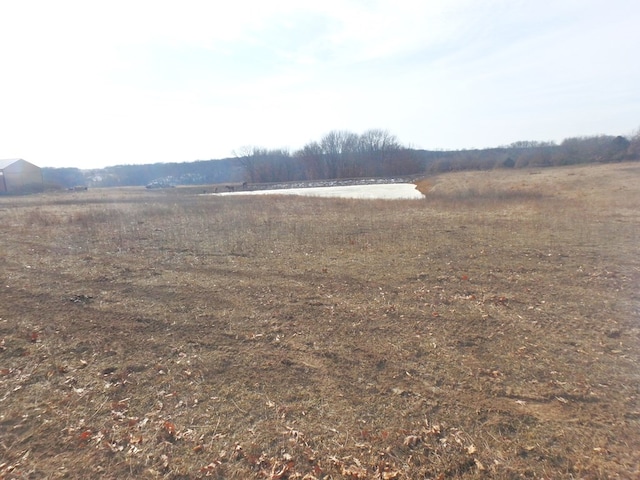 view of yard featuring a rural view