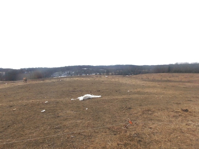 view of yard with a rural view