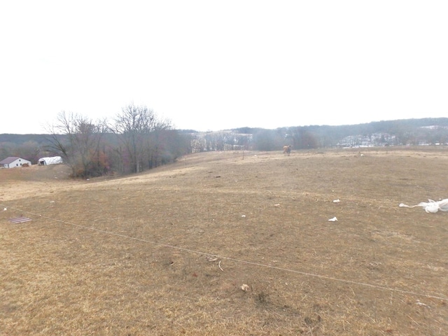 view of yard with a rural view