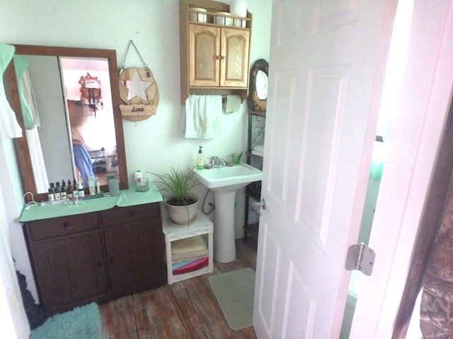 bathroom with hardwood / wood-style flooring